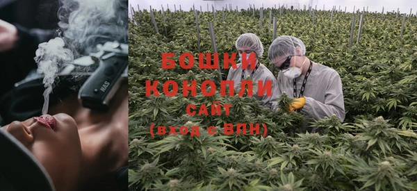 ПСИЛОЦИБИНОВЫЕ ГРИБЫ Козельск