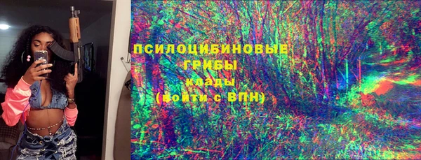 ПСИЛОЦИБИНОВЫЕ ГРИБЫ Козельск