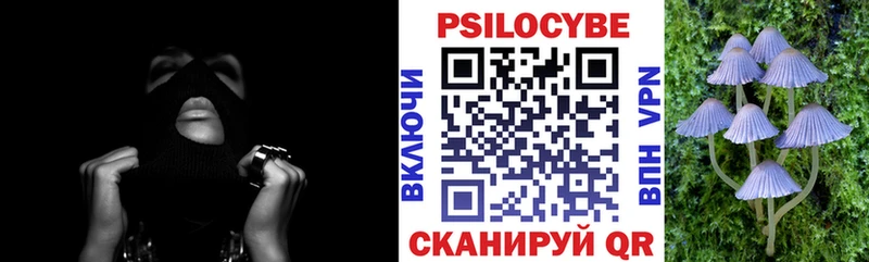 Купить закладки  Юхнов  Галлюциногенные грибы MAGIC MUSHROOMS 